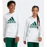 Adidas SPORTSWEAR Big LOGO ESSENTIALS COTTON Hoodie 152 / White/Collegiate green