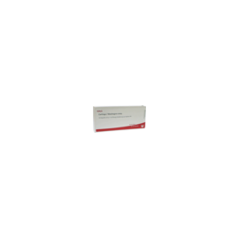 Wala Cartilago/mandragora comp.Ampullen 10X1 ml