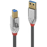 Lindy 36662 USB 3.2 Typ A an B Kabel, Cromo Line