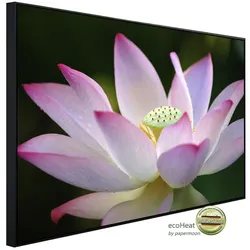 papermoon Infrarotheizung »EcoHeat - Lotus Blume«, Matt-Effekt - bunt