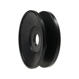 AS-PL AP2004 Riemenscheibe, Generator