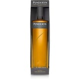 Penderyn Faraday 700ml