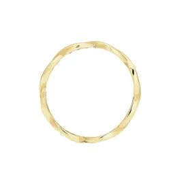 ELLI PREMIUM Ring Infinity gold 52