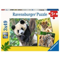 Ravensburger Puzzle Panda, Tiger und Löwe (05666)