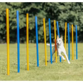 Trixie Agility Slalom