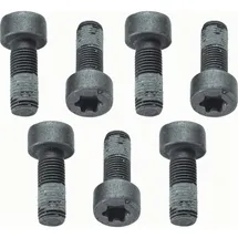 Sachs Schraubensatz, Schwungrad