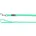 Hundeleine Trainings und Suchleine mit Handschlaufe 5m 17mm Mintgrün Biothane Karabiner verchromt
