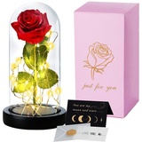 TWBEST Die Schöne und Das Biest ,Ewige Rose im Glas mit LED-Licht,Immerwährende Echte Rosen, 1 Valentinstagskarte,Personalisierte Geschenke für Frauen,Valentinstag,Muttertag,Hochzeit