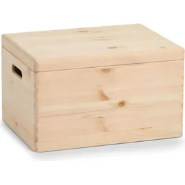 Zeller Allzweckkiste 40 x 30 x 23 cm 1-tlg. braun