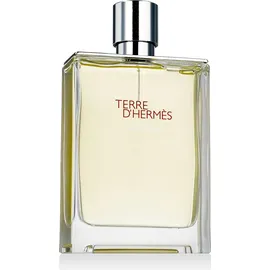 Hermès Terre d'Hermès Eau Givrée Eau de Parfum refillable 175 ml