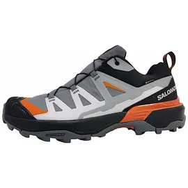 Salomon X Ultra 360 GTX Herren Quiet Shade/Black/Spice Route 47 1/3