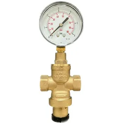 BieTal® Wasserdruckregler Wasserdruckminderer mit Manometer - 3/8 Zoll IG