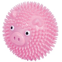 Nobby TPR Noppen Ball Pig pink 6,5 cm