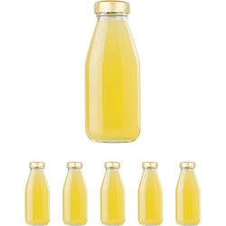 5 leeren Glasflaschen à 500 ml mit Deckel - Glasflaschen für Saft, Milch, Grillen, Saucen