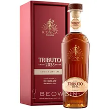 Havana Club Tributo 2025 43% vol 0,7 l