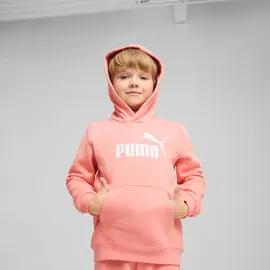 Puma Essentials No. 1 Logo Fleece Hoodie Jungen 18 pink fruit 116