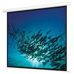 Magnetoplan elektrische Leinwand Cineflex Advanced - stationäre Motorbildwand mit Infrarot Fernbedienung