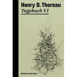 Tagebuch VI