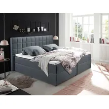 Prinz Alaska 2, - grau