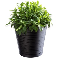 Kadax Blumentopf mit Untersetzer, aus Kunststoff, rund, 21 cm,
