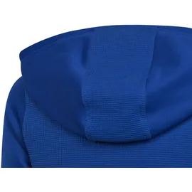 adidas Tiro 23 Competition Kinder Kapuzensweater, blau - 164