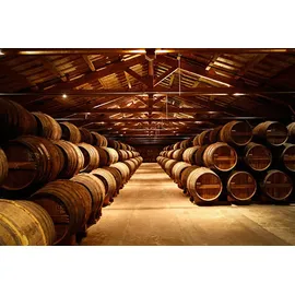 Remy Martin Rémy Martin XO