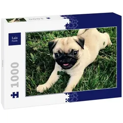 Lais Puzzle Mops 1000 Teile