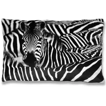 BestLivings 2er Pack Zebra) 40 x 60 cm