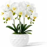 PlusFive Künstliche Orchideen im Topf - Weiße Phalaenopsis Kunstblumen aus Seide, Orchideen künstlich wie Echt für Innendekoration, Tischdekoration, Fensterbank Deko, Dekoration Wohnzimmer (47 cm)