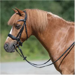 MONTIVUM Pony- und Shetty-Trensenzaum Managua schwarz Pony