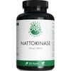 Nattokinase 100 mg vegan