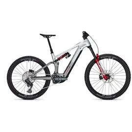 Focus Sam2 2025 29 Zoll RH XL Nepalsilver / Steelgrey