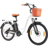 E-Bike, Elektrofahrrad 26'' Trekkingrad E-Cityrad mit 36V 14.5AhLithium-Akku für Lange Reichweite bis 100KM, 250W Motor, City E-Bikes & E-Hollandr...