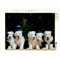 Calvendo Bobtail Puzzle