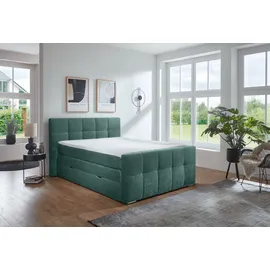 PLACES OF STYLE Boxspringbett PLACES OF STYLE "Rosà", grün, B:184cm L:224cm, Komplettbetten, Boxspringbett, H3/H3, H3/H4, H4/H4 möglich