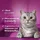 Whiskas whiskas® Katzen-Leckerli Knuspertaschen mit Lachs 180,0 g