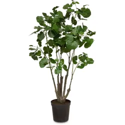 Fiederaralie Polyscias Kunstpflanze 160 cm