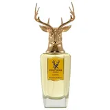 pana dora Scandic Eau de Parfum 100 ml