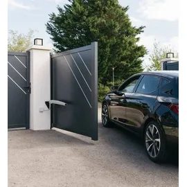 SOMFY Exavia Star RTS 1240653 Drehtorantrieb 250kg