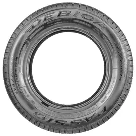 Debica Passio 2 195/65 R15 95T XL