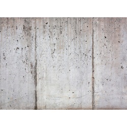 LIVING WALLS Fototapete „Beton“ Tapeten Fototapete Floral Grau weiß 3,50 m x 2,55 m Tapete Gr. B/L: 3,5 m x 2,55 m, bunt Fototapeten