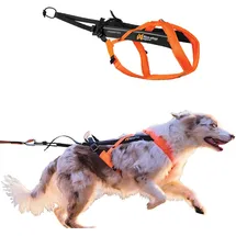 Non-Stop Dogwear Freemotion Harness 5.0