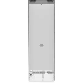 Liebherr RBsfd 5221-22 Kühlschrank (351 l, 1855 mm hoch, Silber)
