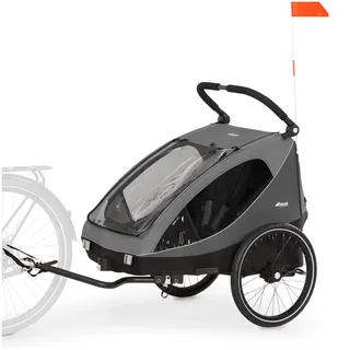 hauck Dryk Duo Kinderanhänger grey
