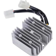 RMS Spannungsregler 2 Stecker mit