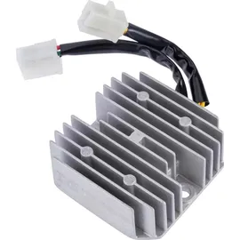 RMS Spannungsregler 2 Stecker mit
