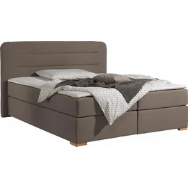 Home Affaire Manchester 200 x 200 cm Beige