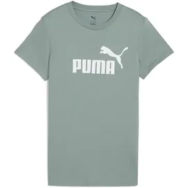 Puma Unisex ESS No. 1 Logo Tee (s) T-Shirts, Green Moon,