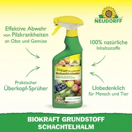 NEUDORFF BioKraft Grundstoff Schachtelhalm AF Spray 500 ml