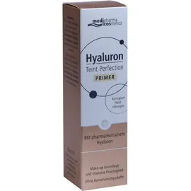 Dr. Theiss Naturwaren Hyaluron Teint Perfection Primer 30 ml